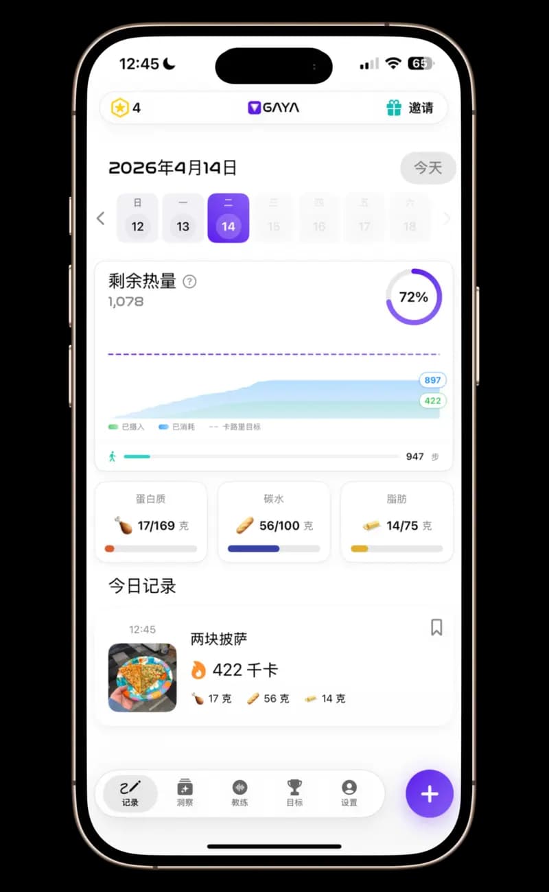 GAYA — 完整仪表盘，显示摄入与消耗的卡路里、带有进度条的宏量营养素明细、带照片的饮食历史以及步数追踪。
